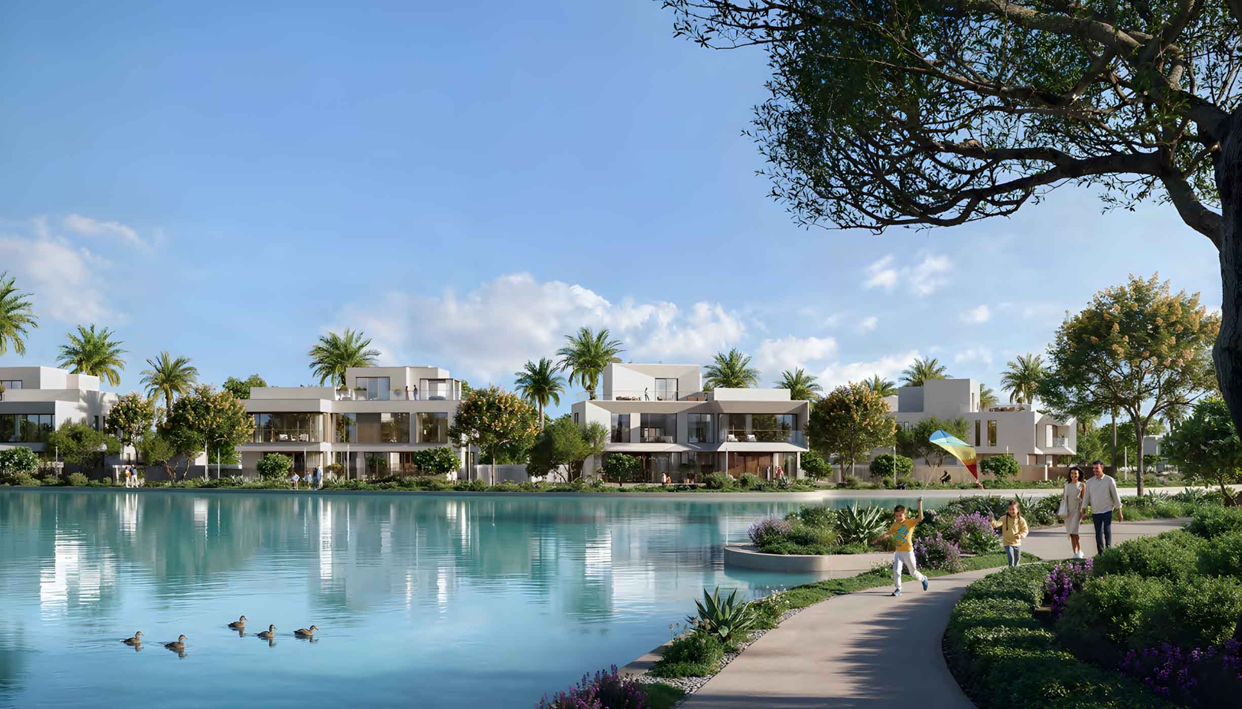 The Oasis